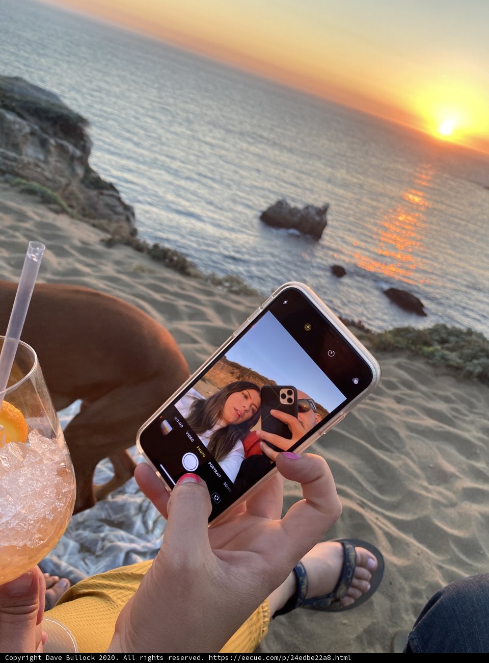 Capturing Nature's Beauty with a Furry Friend