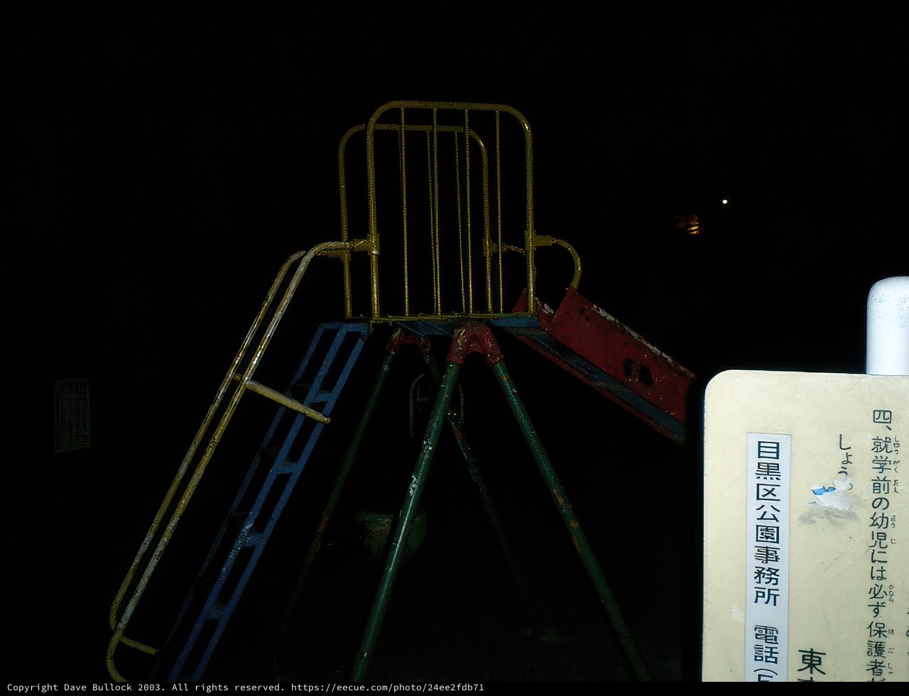 Fun Under the Stars