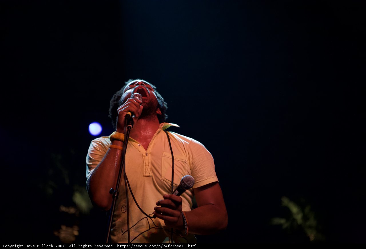 Spotlight on the Musician