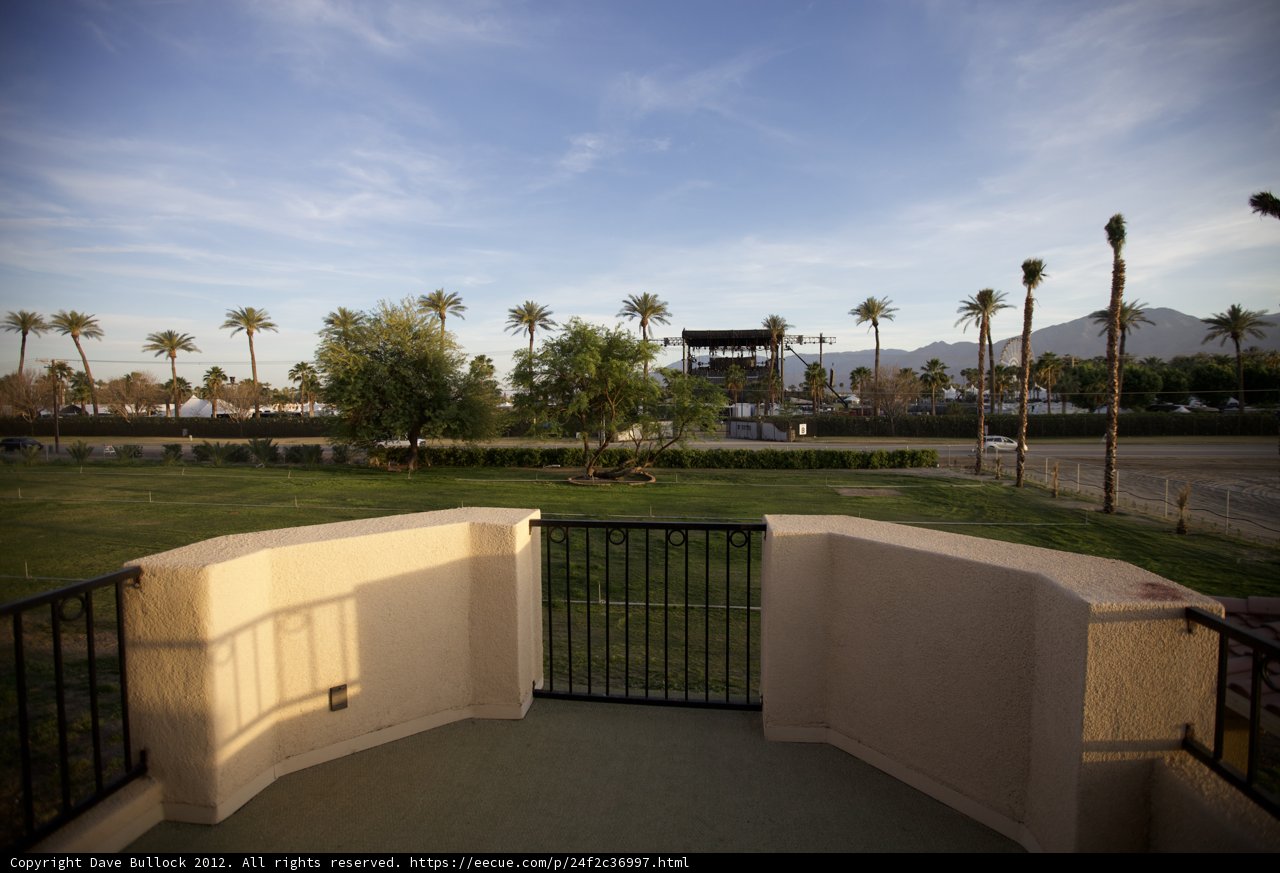 Balcony View of Palm Trees and Grass