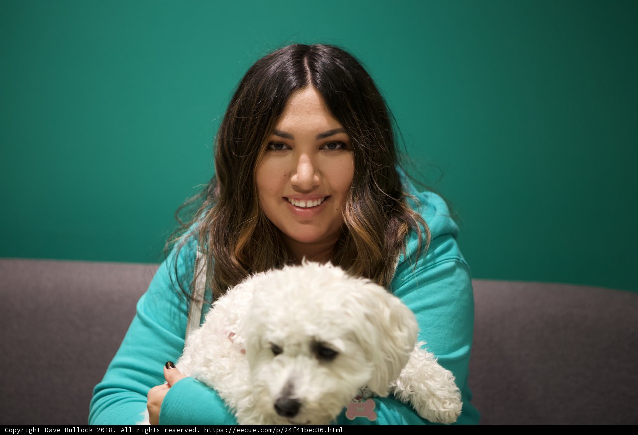 Green Shirt and White Dog