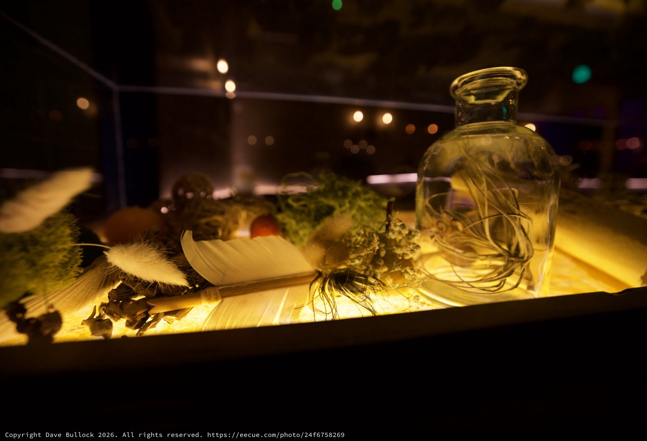 Artisanal Botanical Display with Herb-Infused Oil