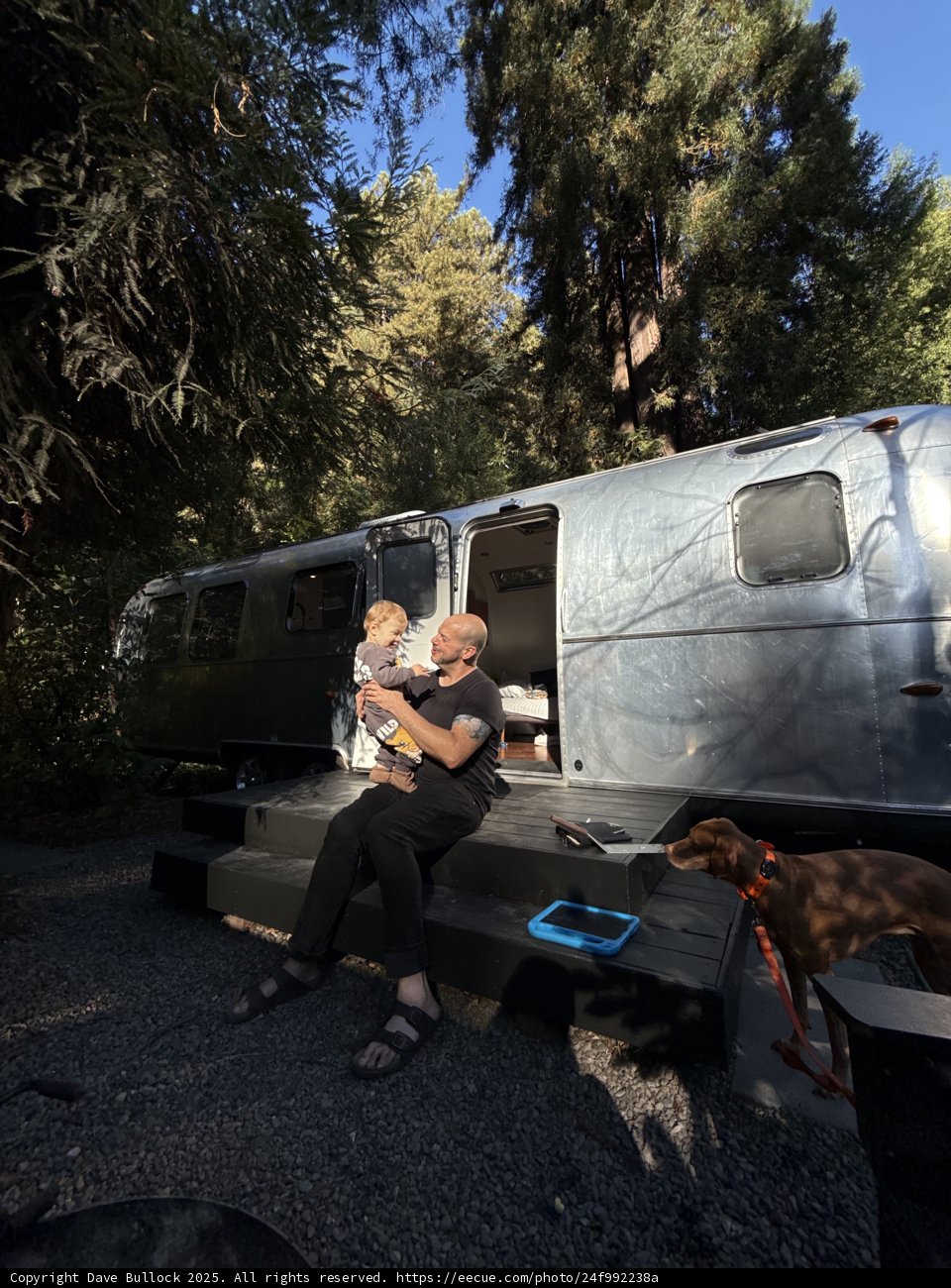 Morning Melody by the Caravan