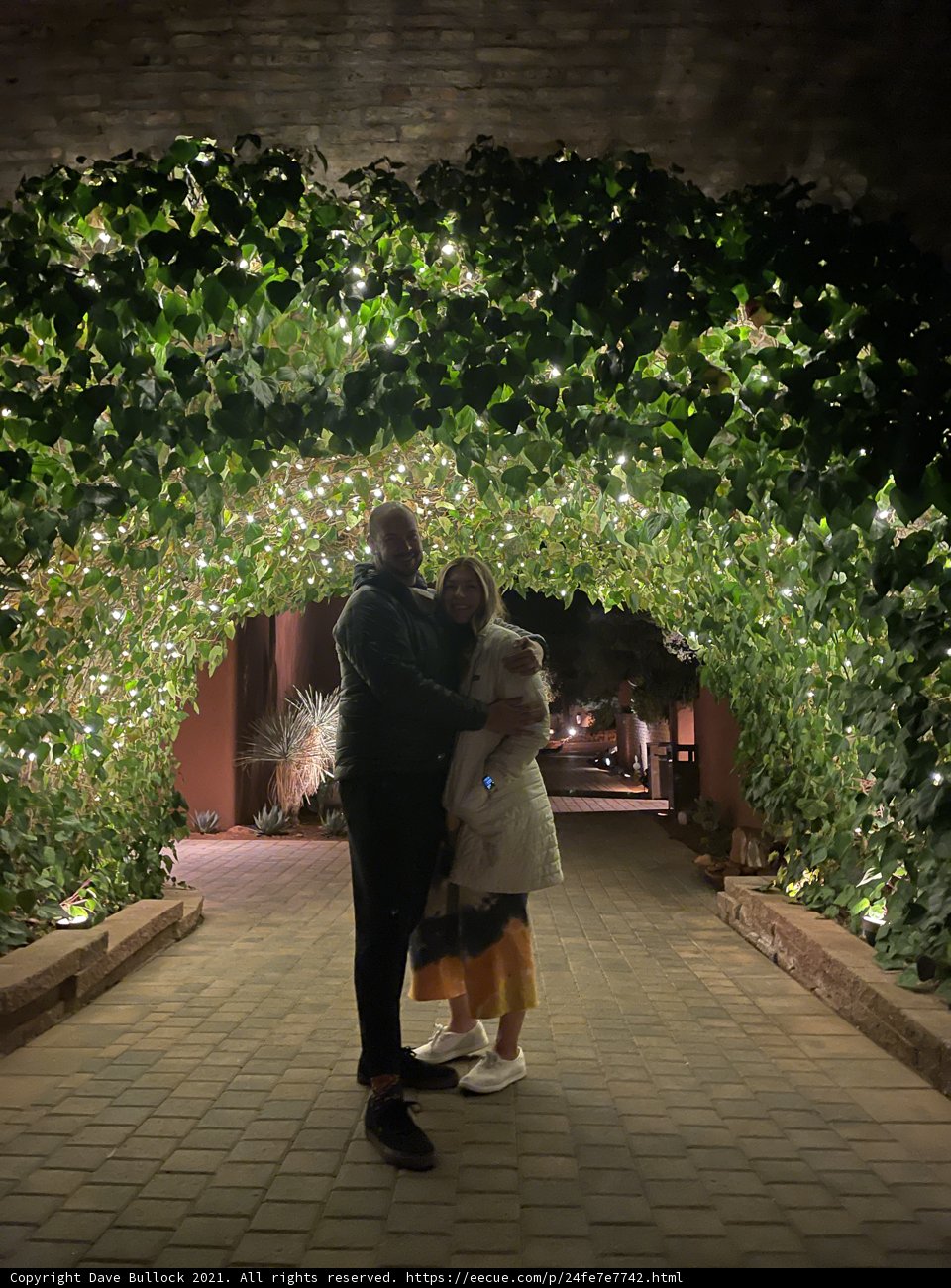 Under the Ivy Archway