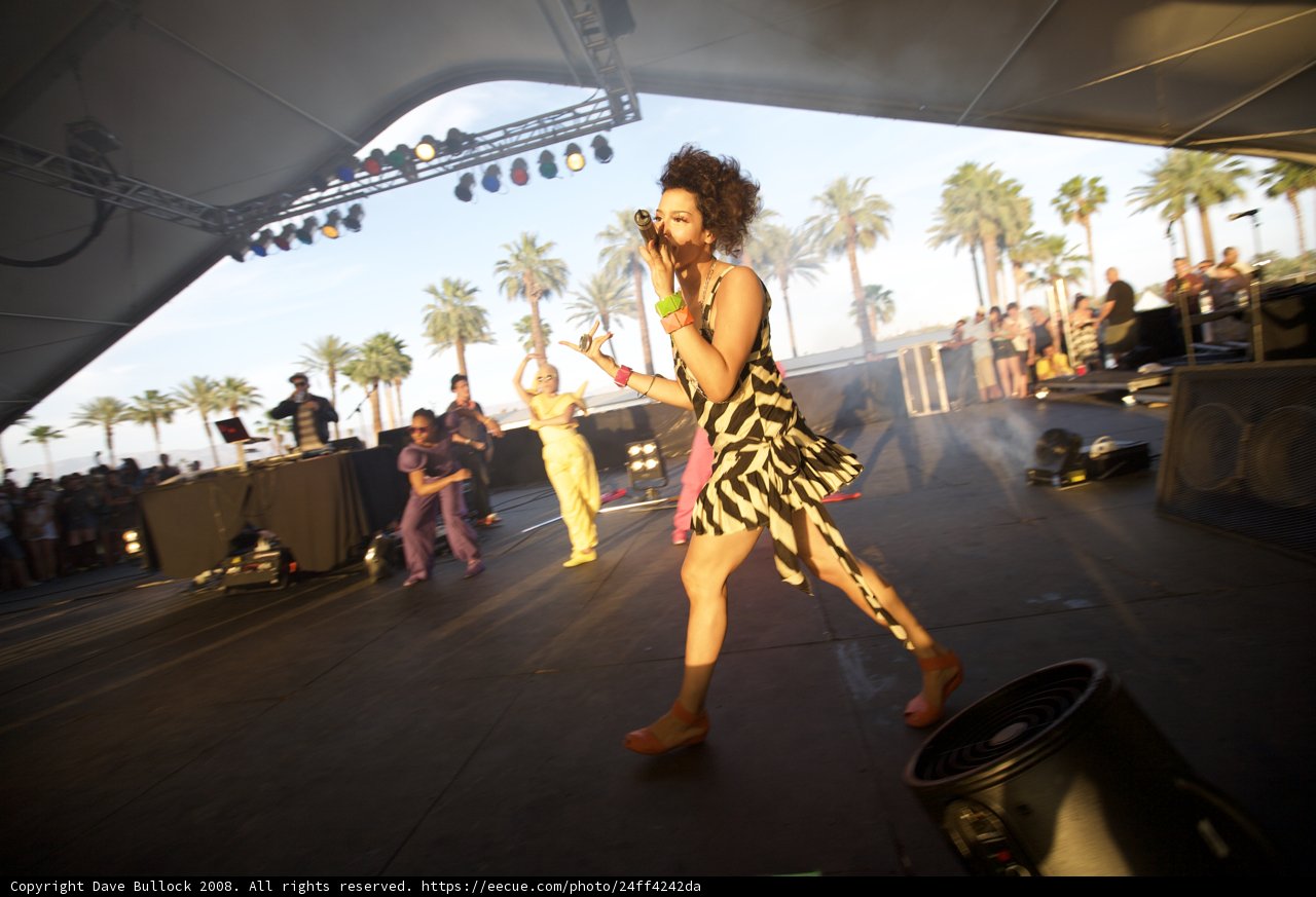 Zebra Stripes on the Coachella Stage