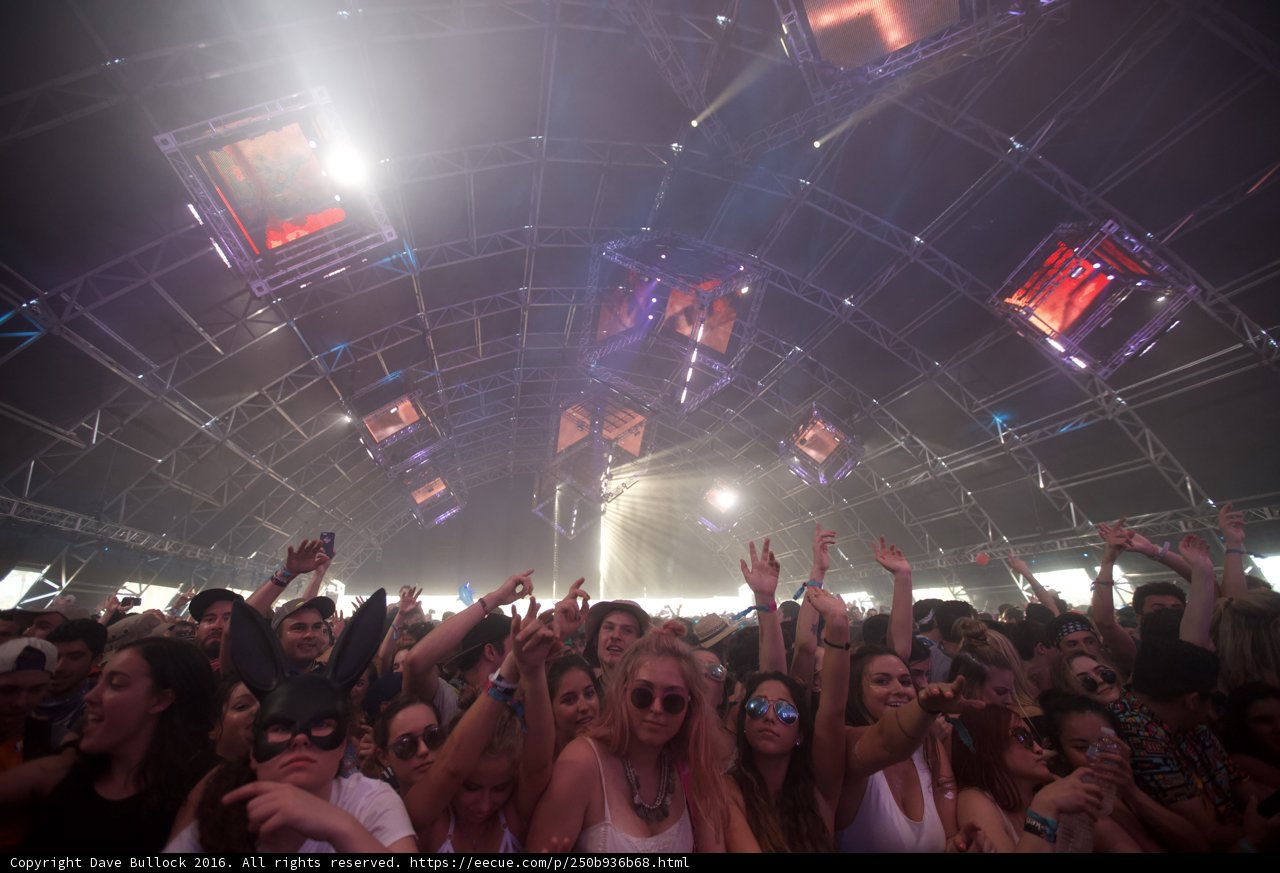 Lights, Music, and a Sea of People