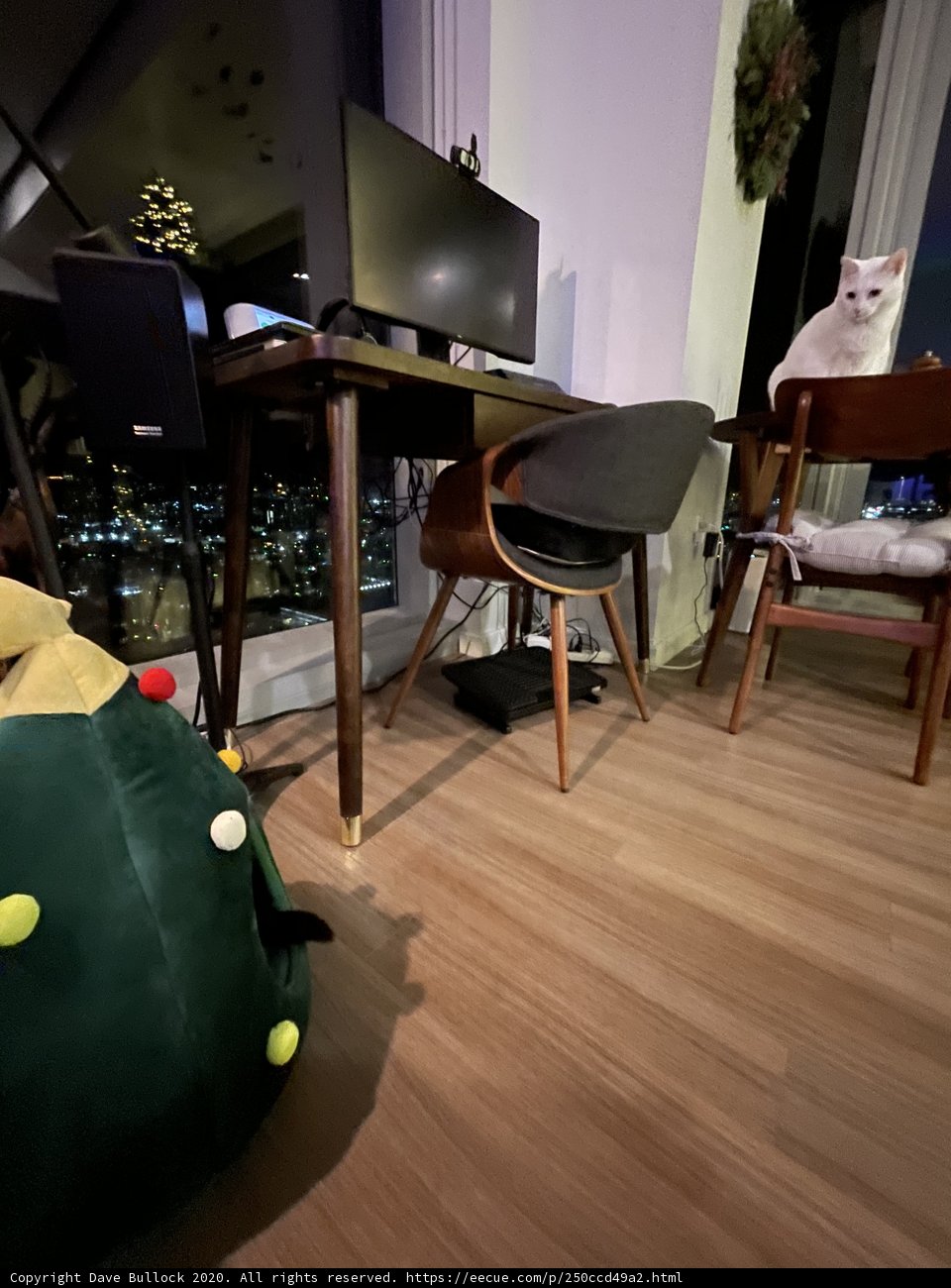 The Tech-Savvy Feline