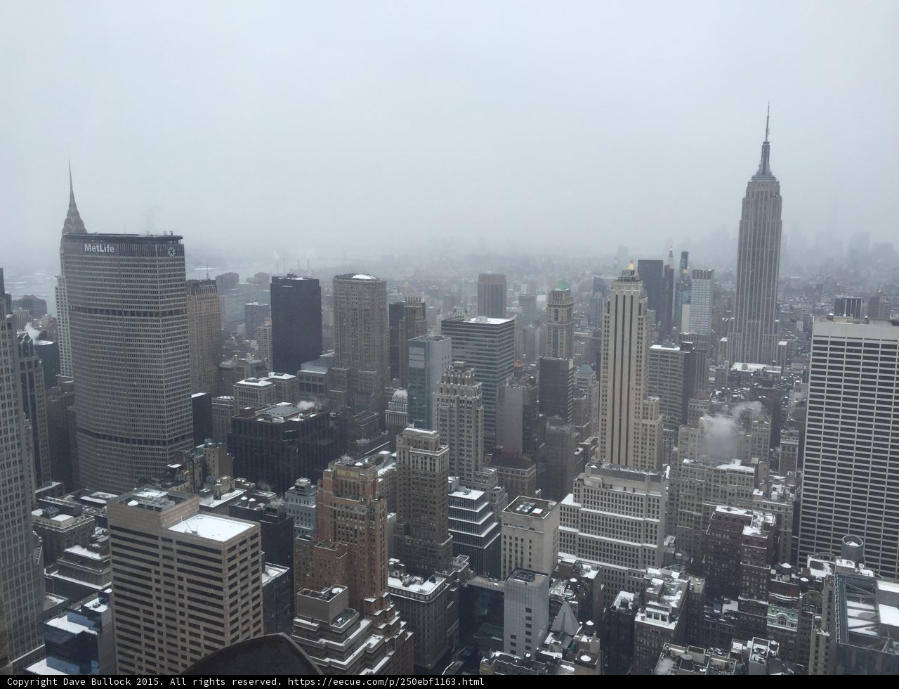 Concrete Jungle Winter