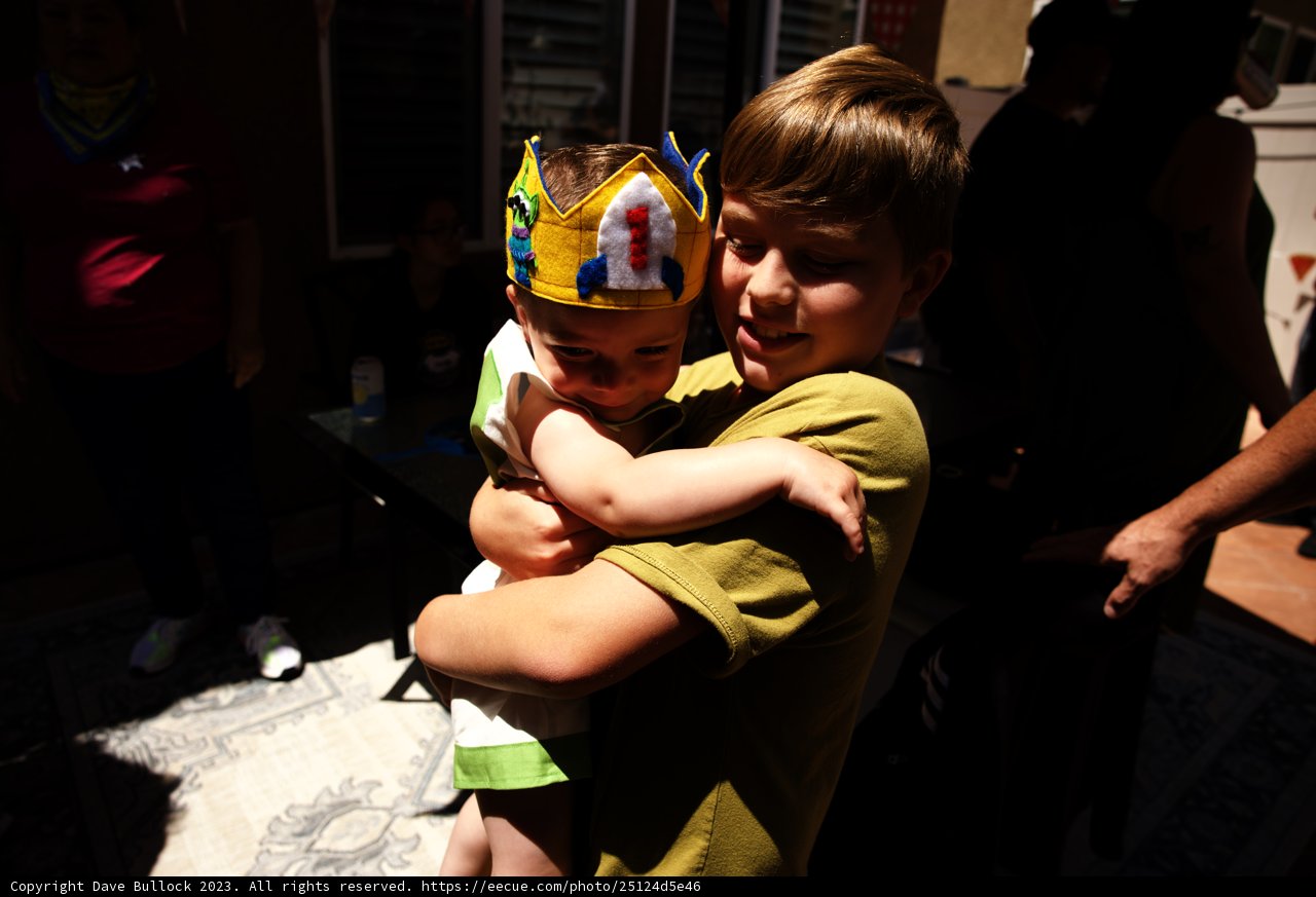 Royal Celebration at Wesley's First Birthday Party