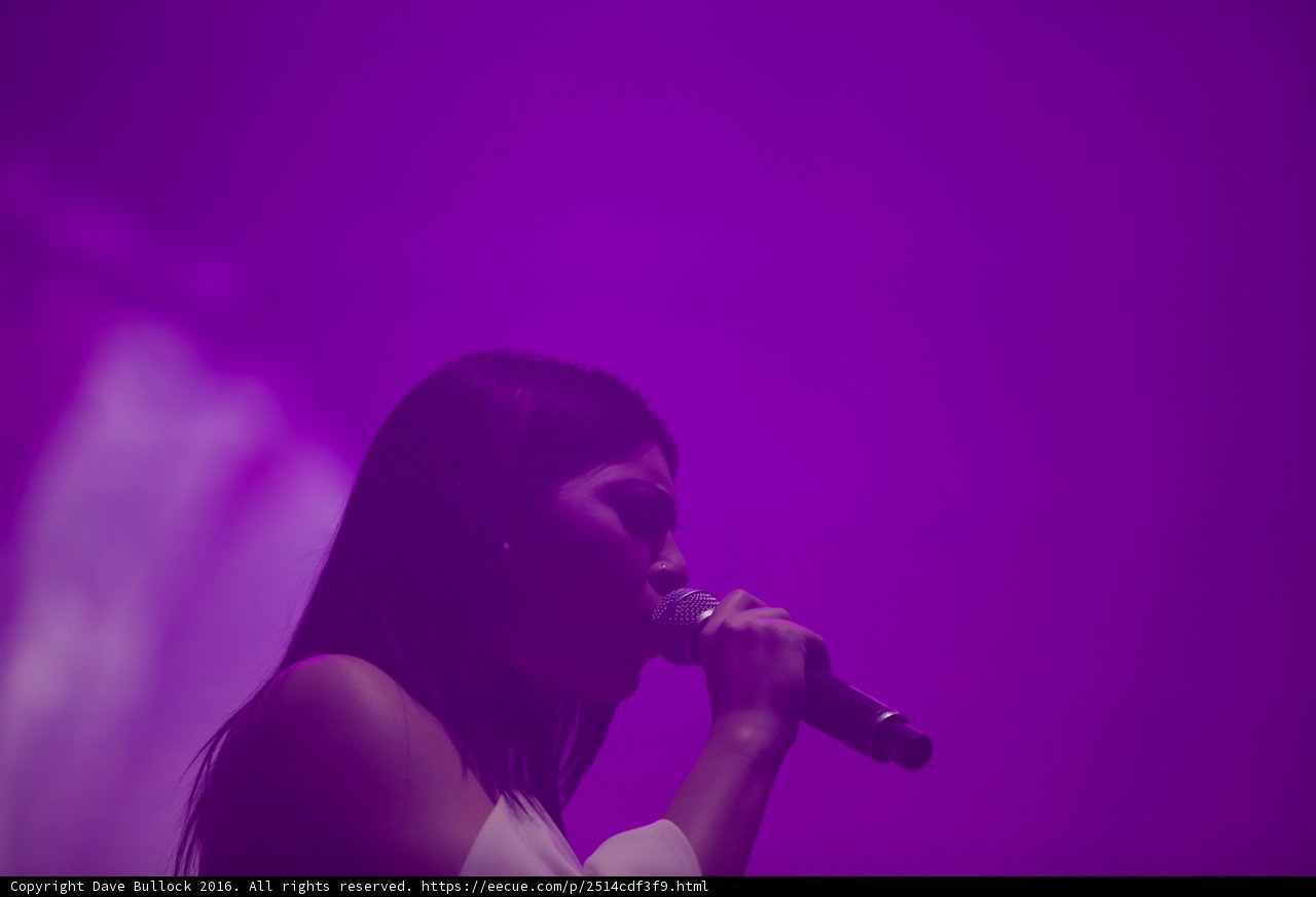 Purple Haze Performance