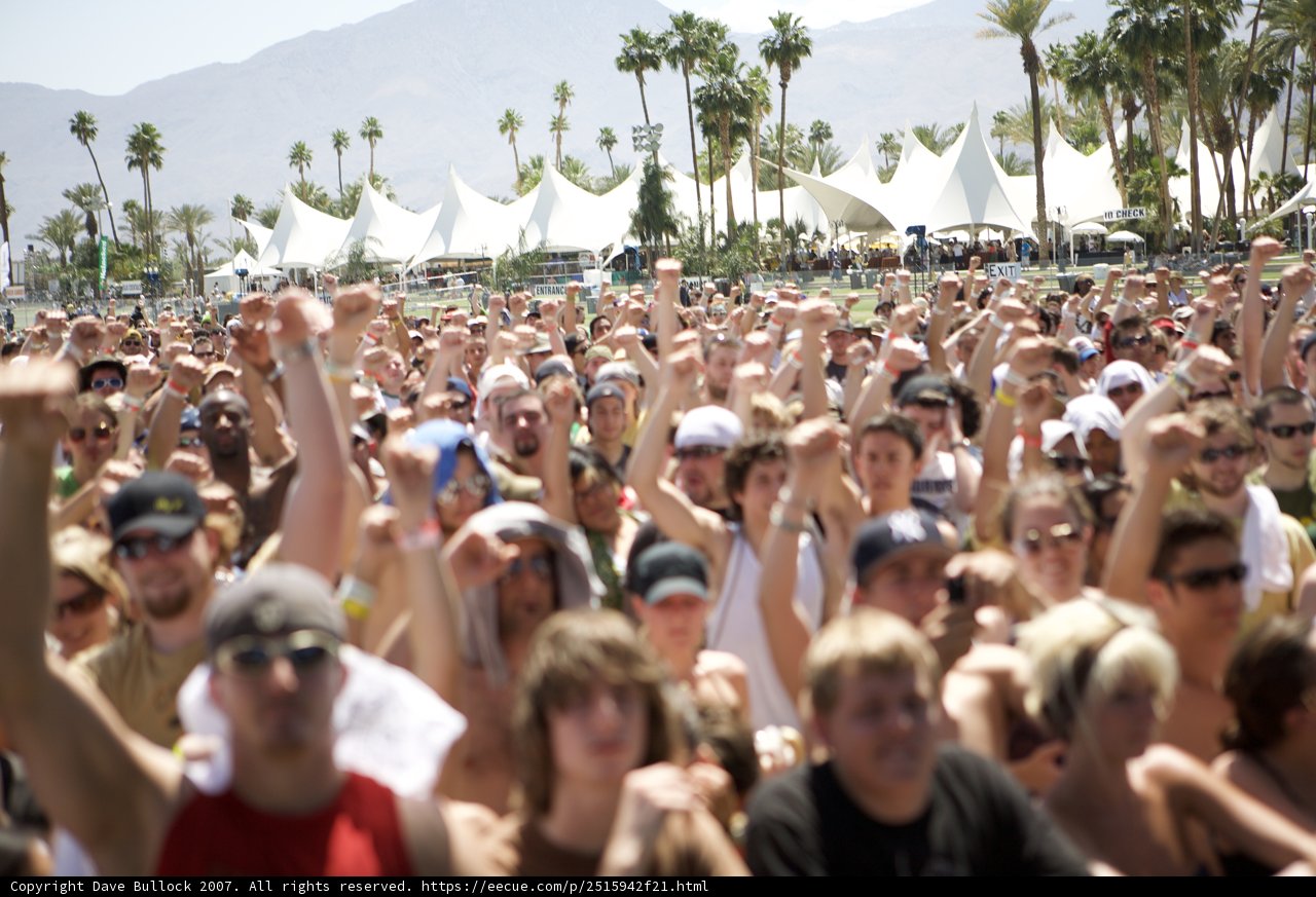 Festival Fever