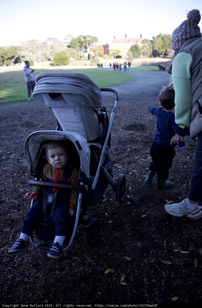 Autumn Stroll at Thistlewyck