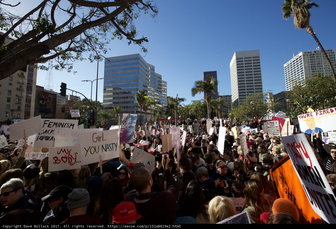 Women's March Protests in Metropolis