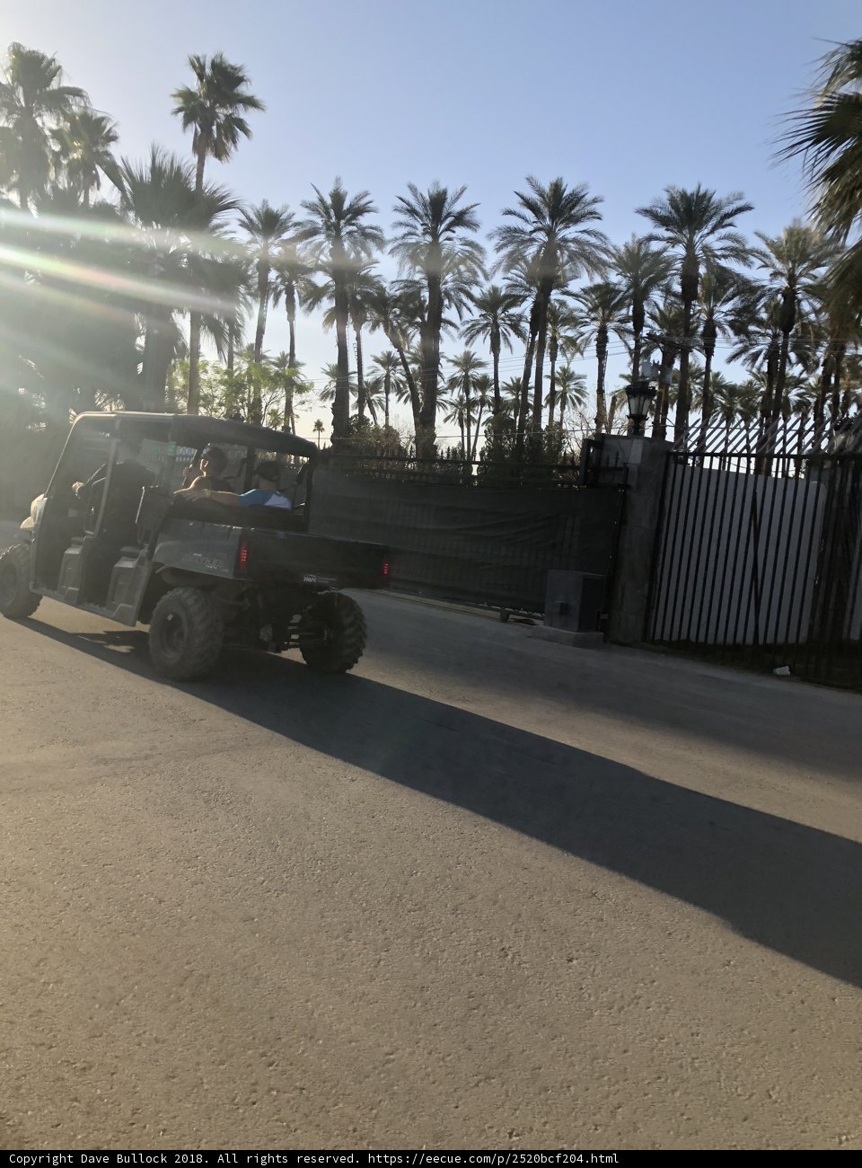 Summer Drive with Palm Trees
