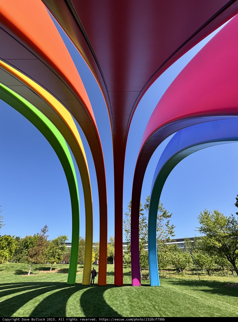 A Symphony of Colors at Apple Park