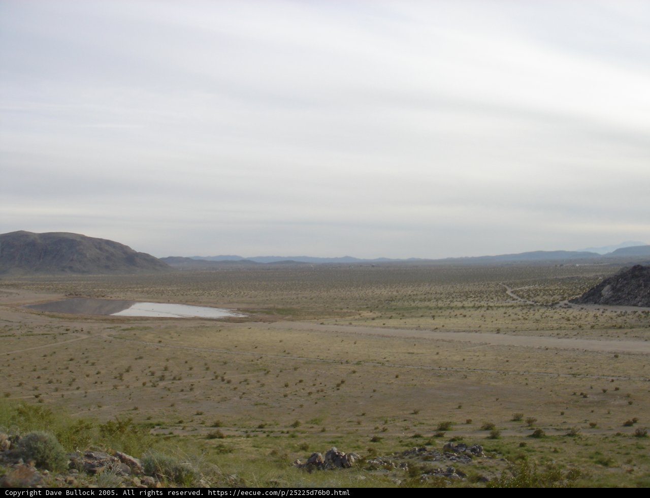 Oasis in the Wilderness