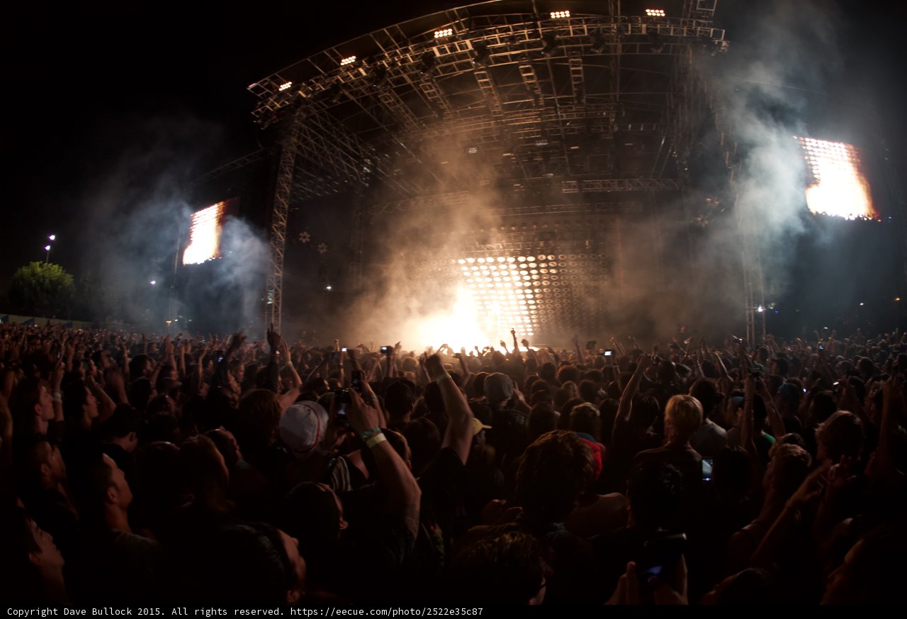 Massive Crowd Trees Panorama