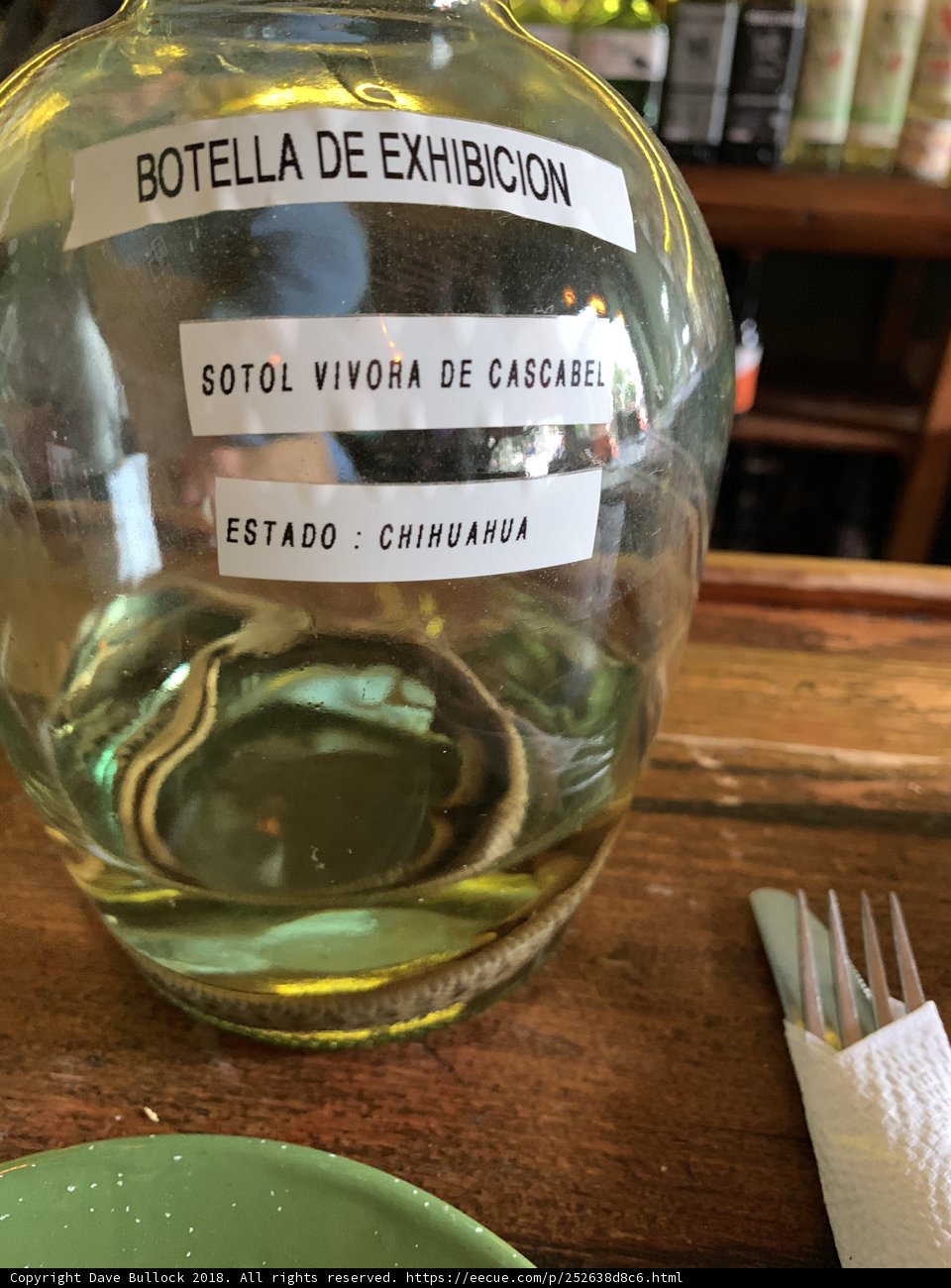 Wine and Dine