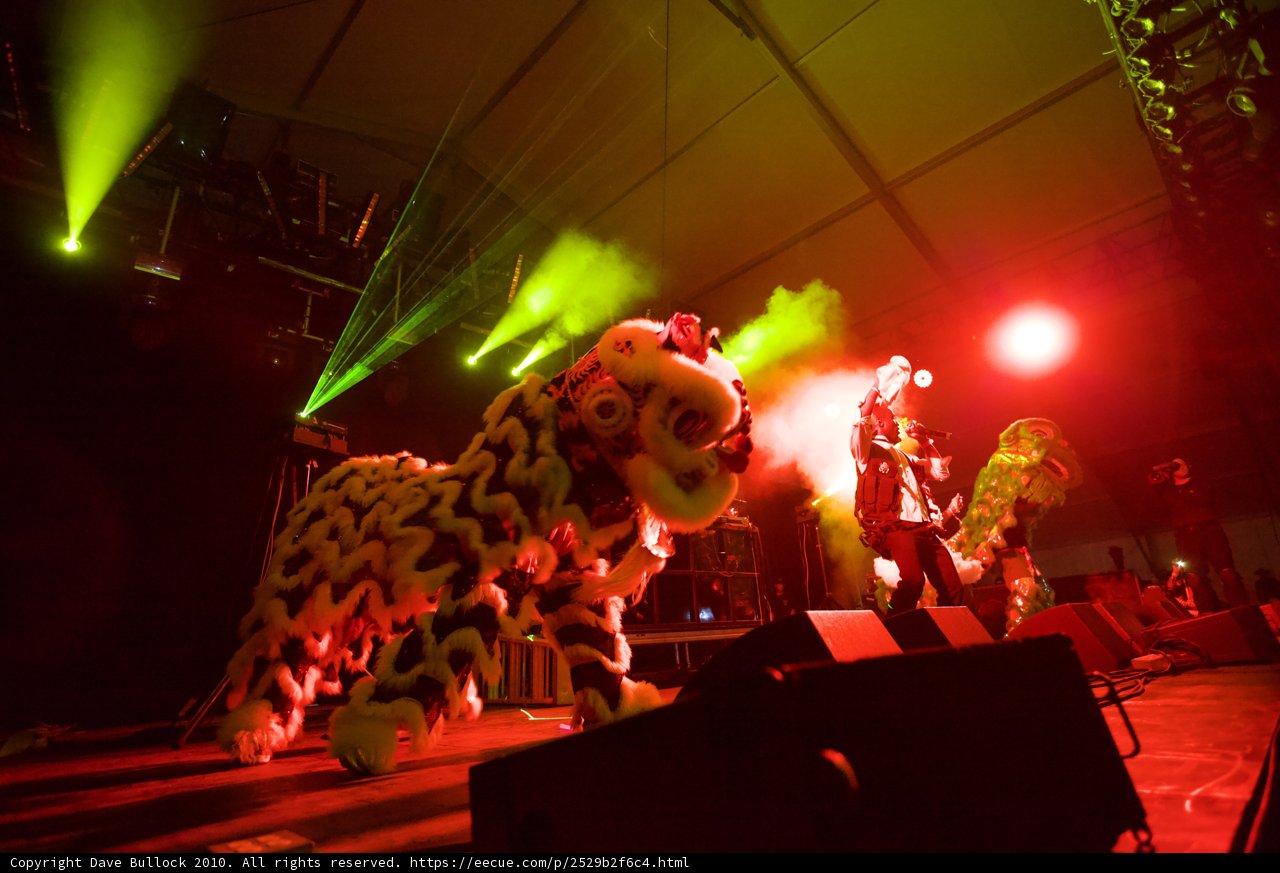 Roaring Spotlight