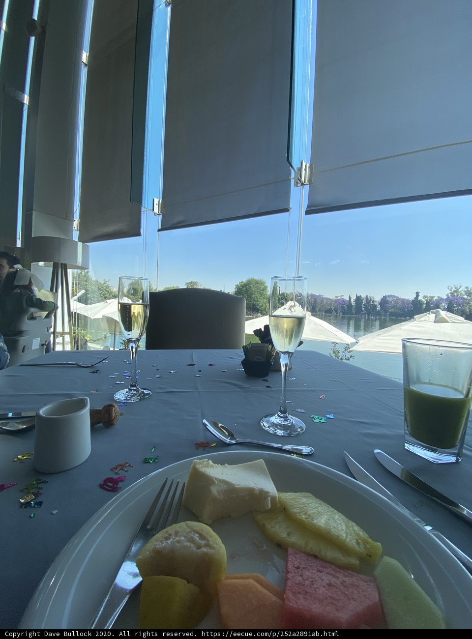 Summer Brunch in Chapultepec Park