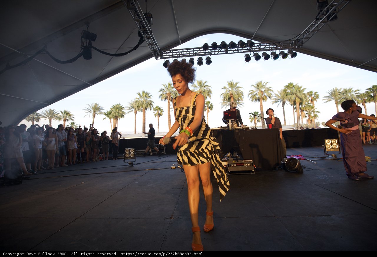The Striped Dress Soloist