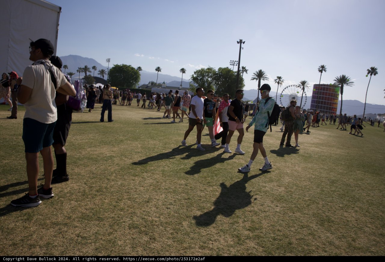Summer Vibes at Coachella 2024