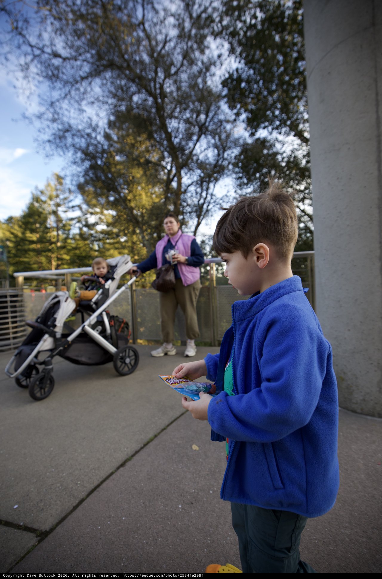 Boy Reading Brochure at Chabot Space and Science Center