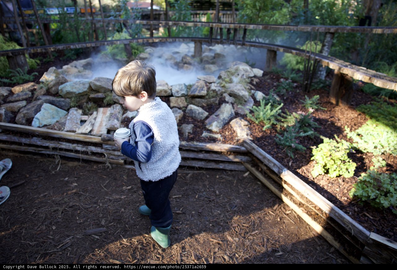 Exploring Thistlewyck's Enchanted Garden