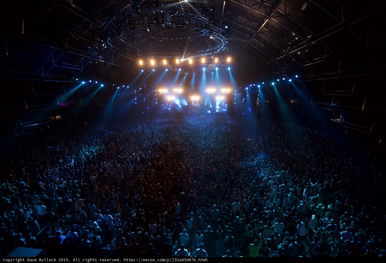 Electric Crowd Takes Over Coachella 2015