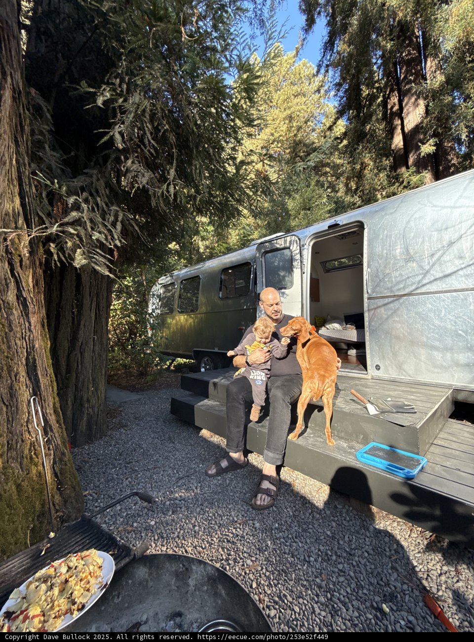 Cozy Moments in the Redwood Retreat