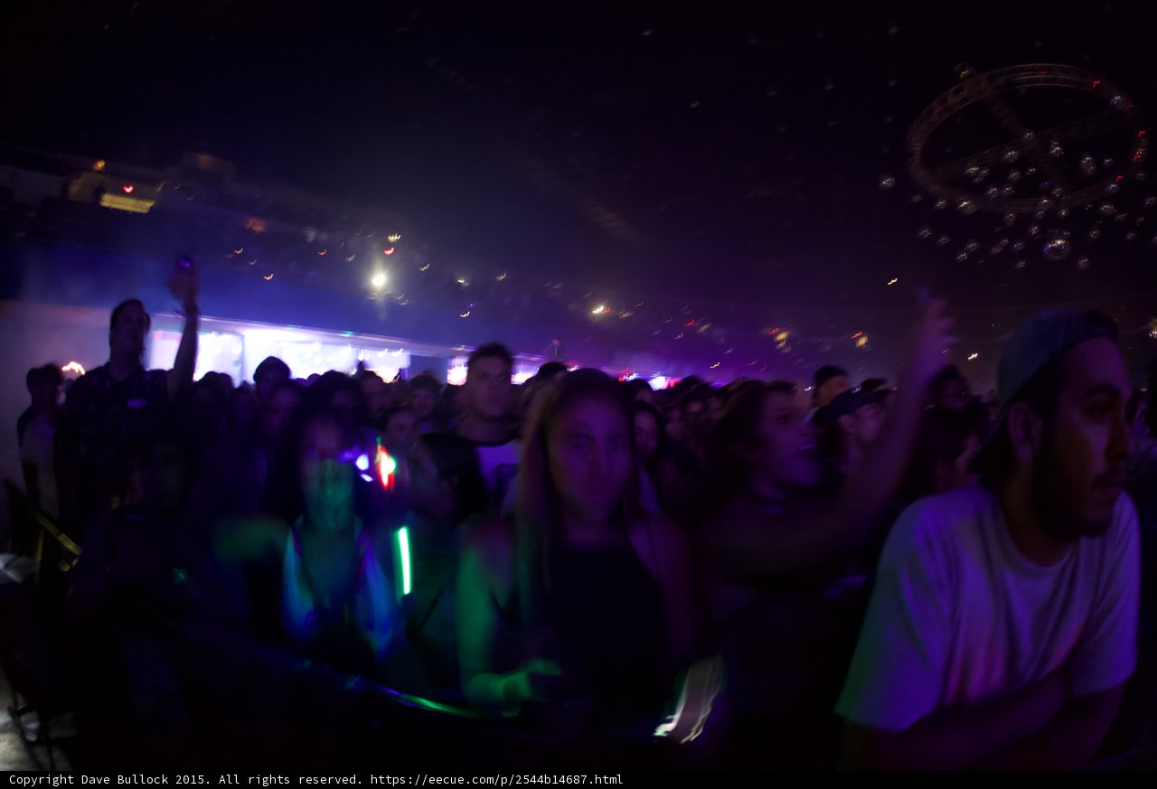 Purple Lit Crowd Scene