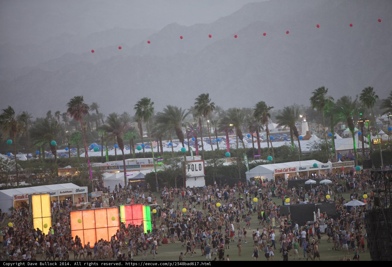 Palm Trees and Music at Coachella