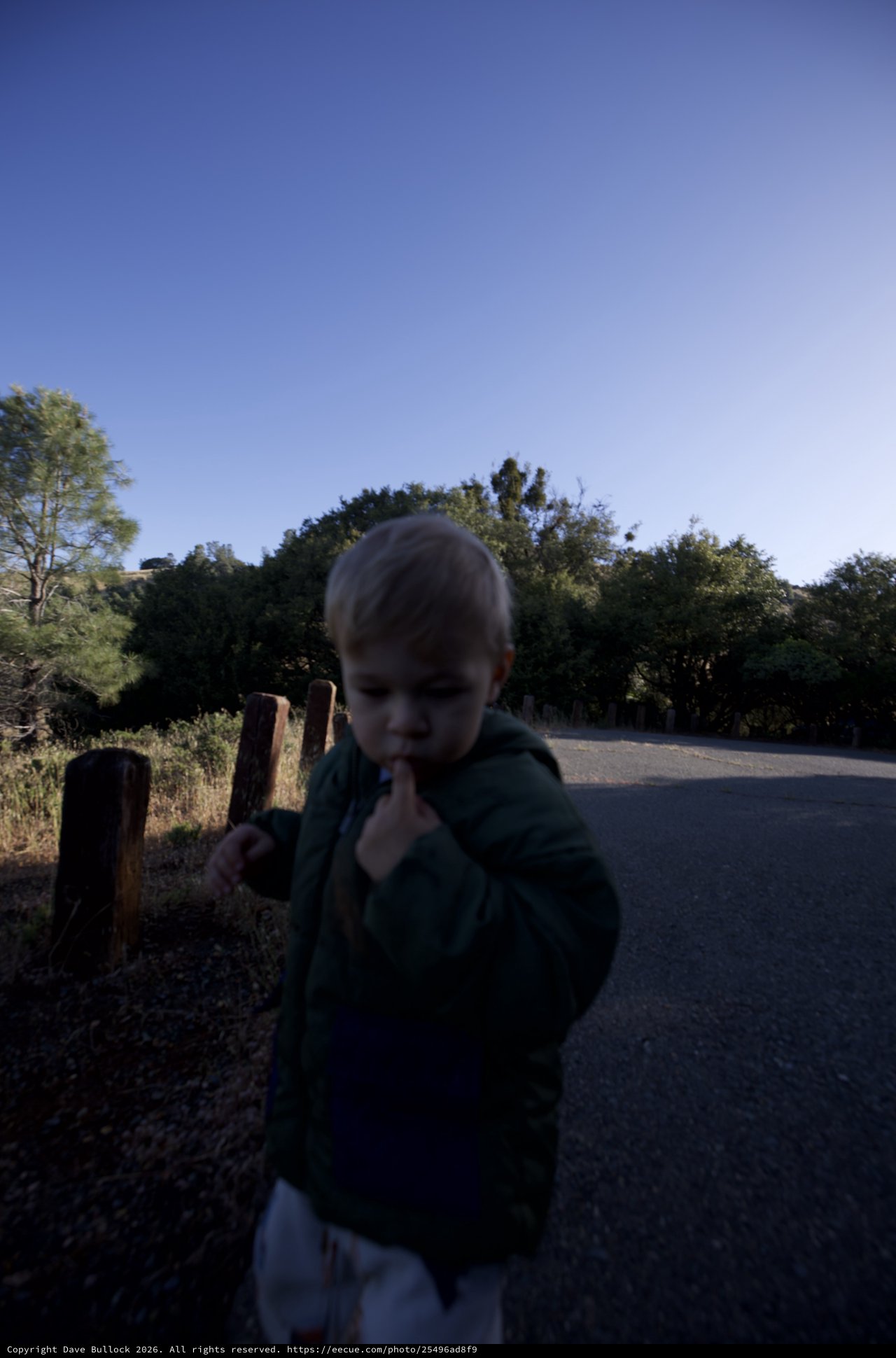 Curious Toddler Exploring Mount Diablo's Rustic Trail