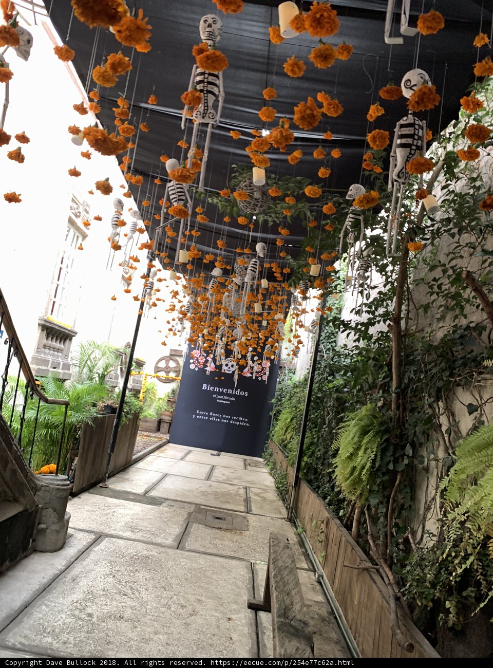 A Floral Walkway in Oxnard