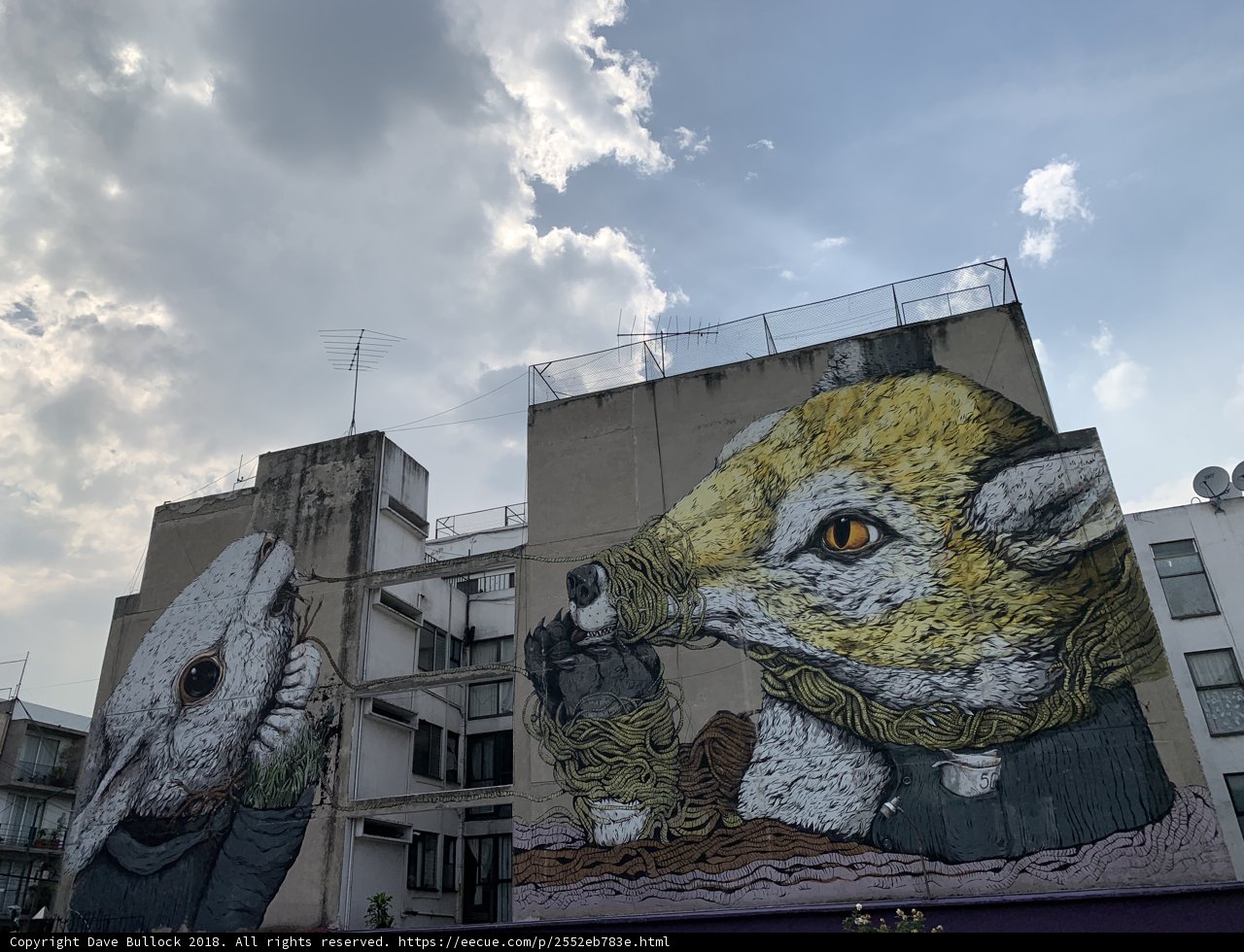 Wildlife Murals on an Apartment Building