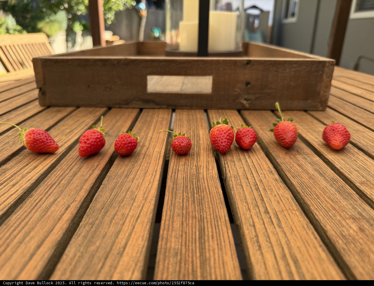 Rustic Charm and Fresh Berries