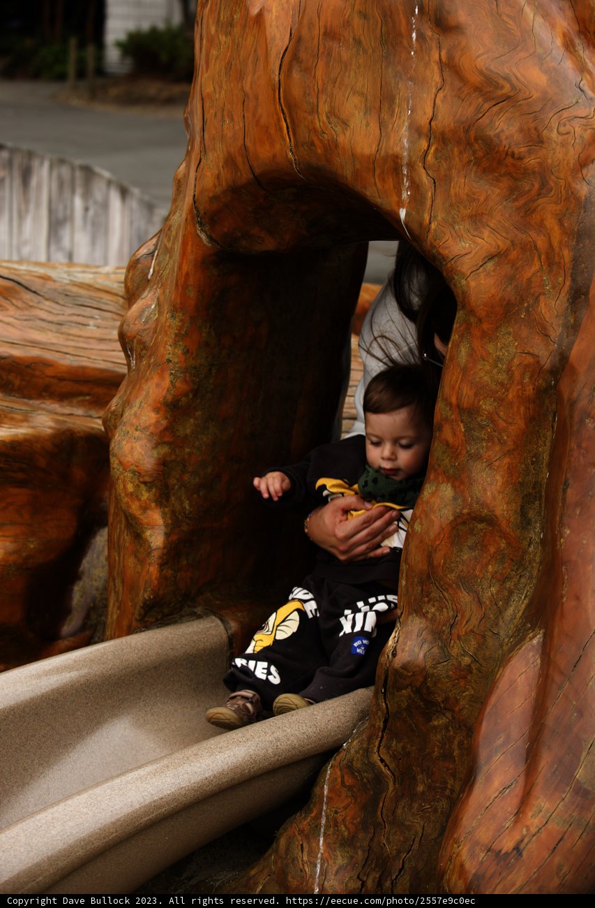 Summer Joy, SF Zoo Adventures