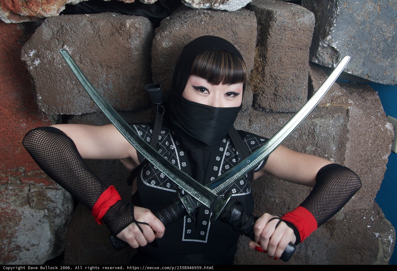 Deadly and Daring: Alice Lee, the Ninja Warrior