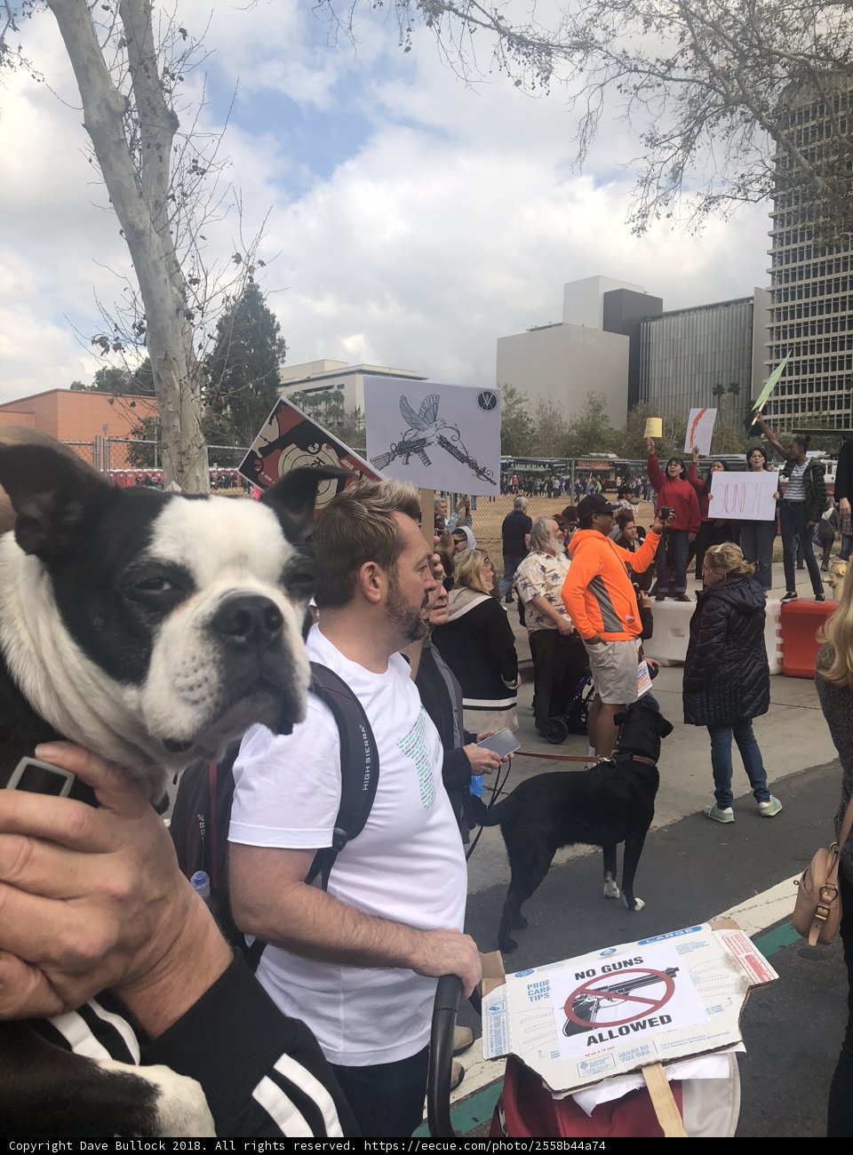 Man and Dog Standing Out in a Crowd