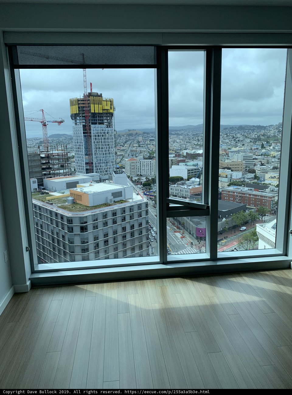 Overlooking the Urban Oasis