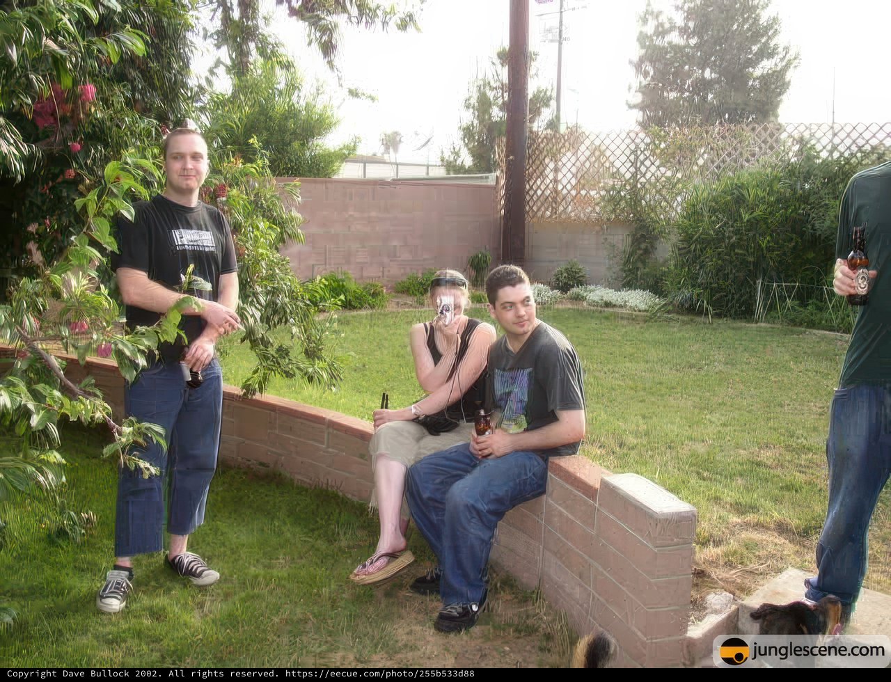 Four Friends Enjoying a Sunny Afternoon in the Backyard