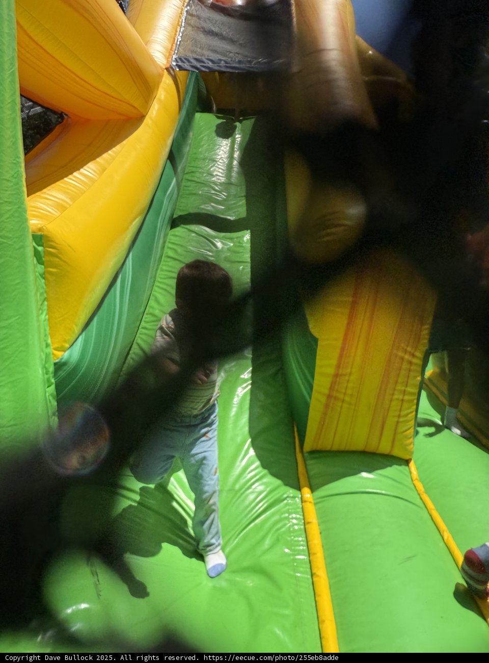 Adventure Down the Inflatable Slide