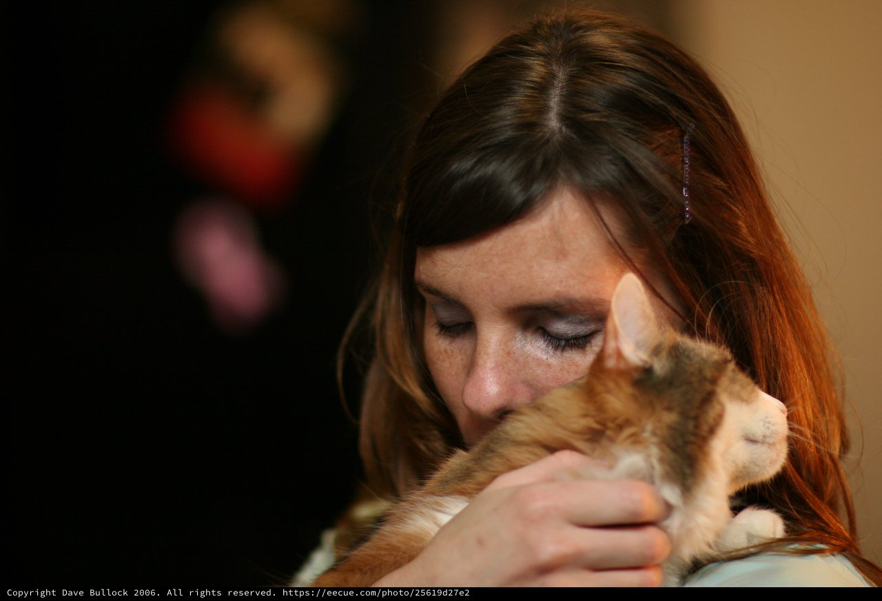 Tender Moment: Woman Nuzzles Orange Tabby Kitten