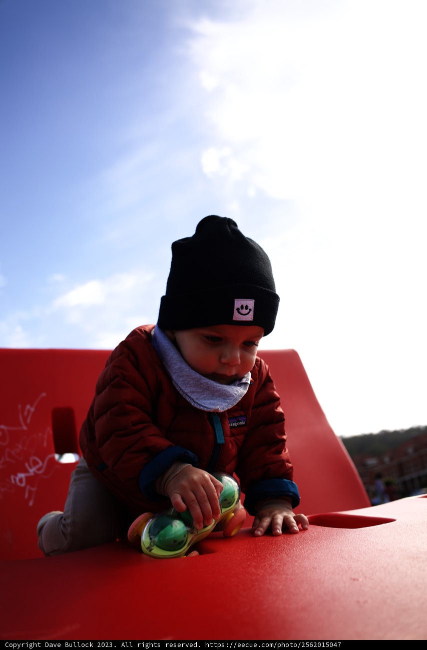 The Joyful Innocence: A Sunny Afternoon Playtime