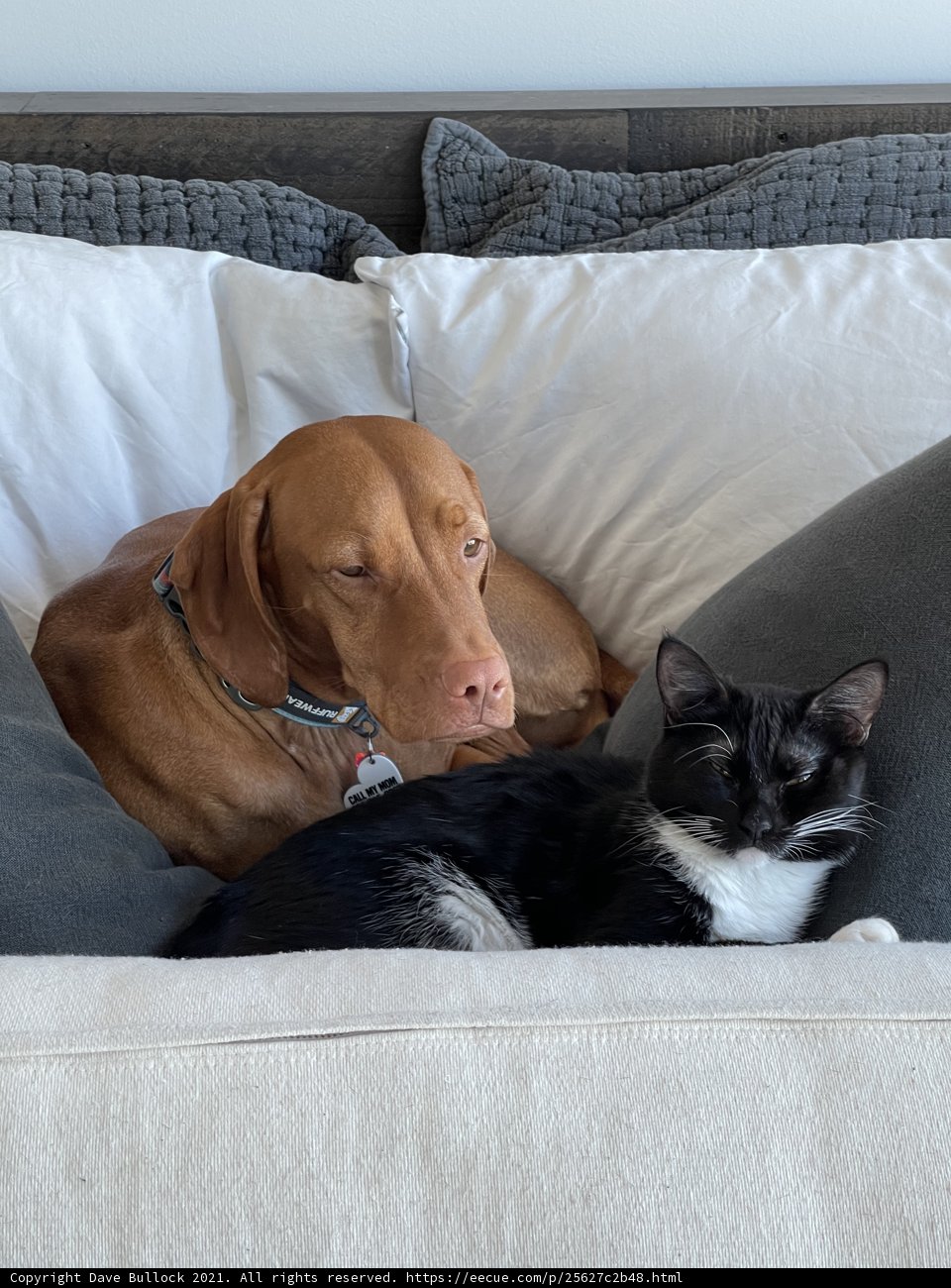 Sleeping Beauties
