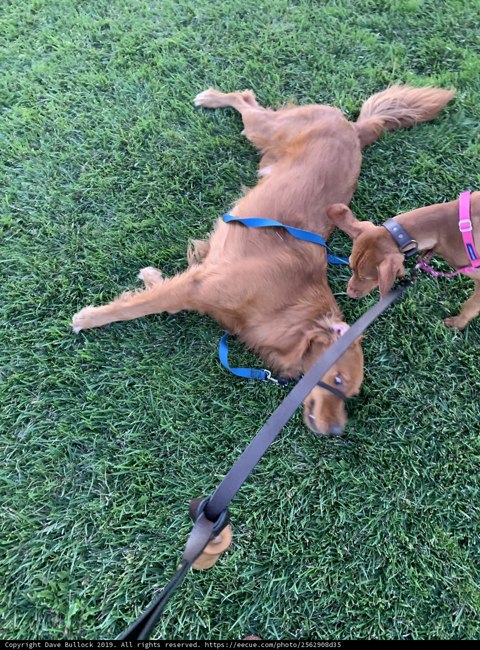 Playtime in the Park
