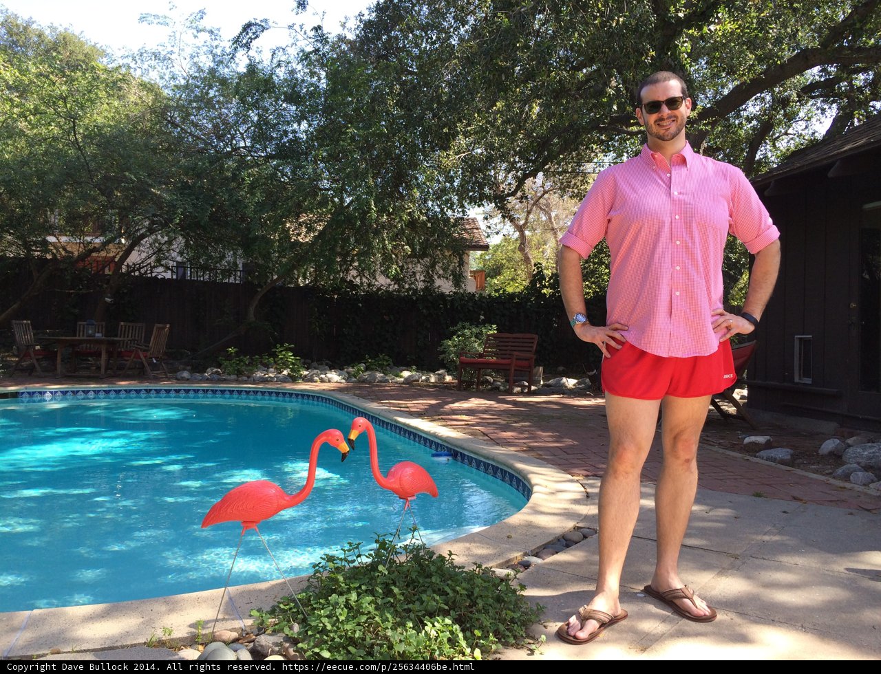Summertime Relaxation