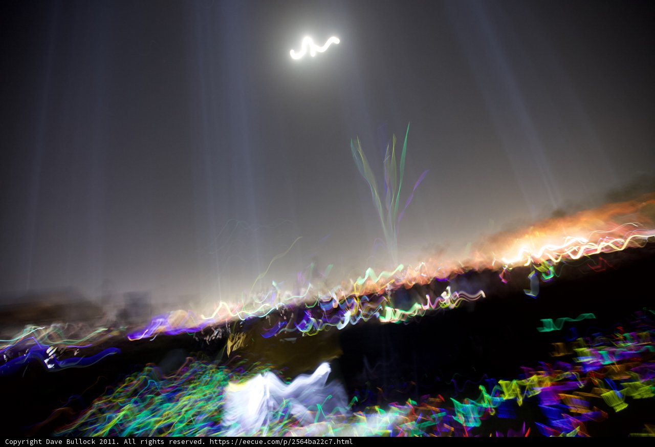 Illuminated by the Night Sky
