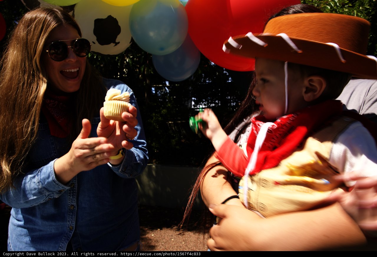Wesley's First Birthday: A Cowboy Themed Celebration