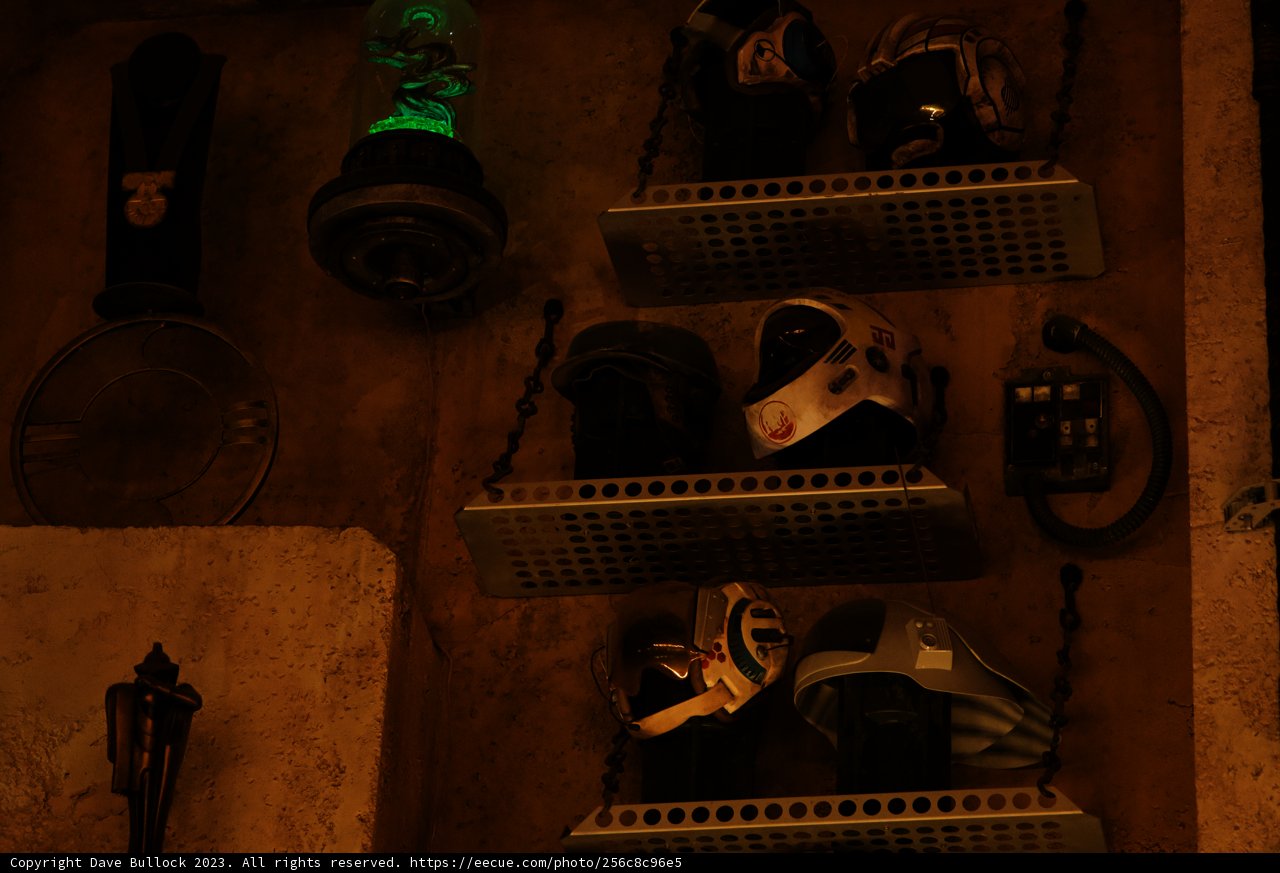 Shoe Collection on Wooden Shelf